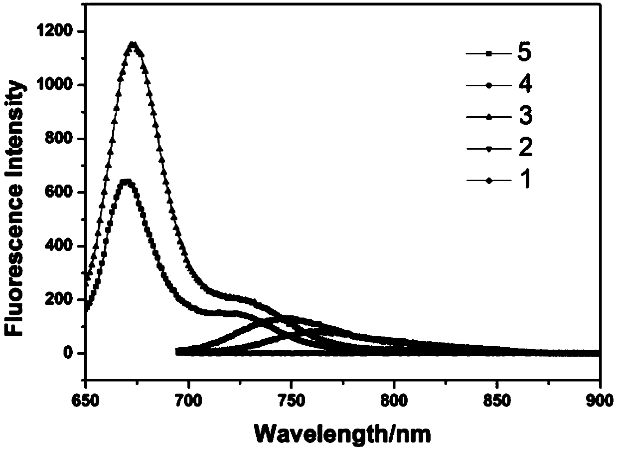 Phenylvinyl-BODIPY derivative and preparation method thereof