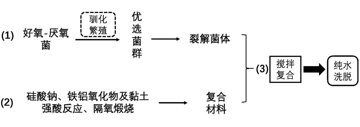 Treatment agent for garbage penetrant, preparation method and treatment process thereof