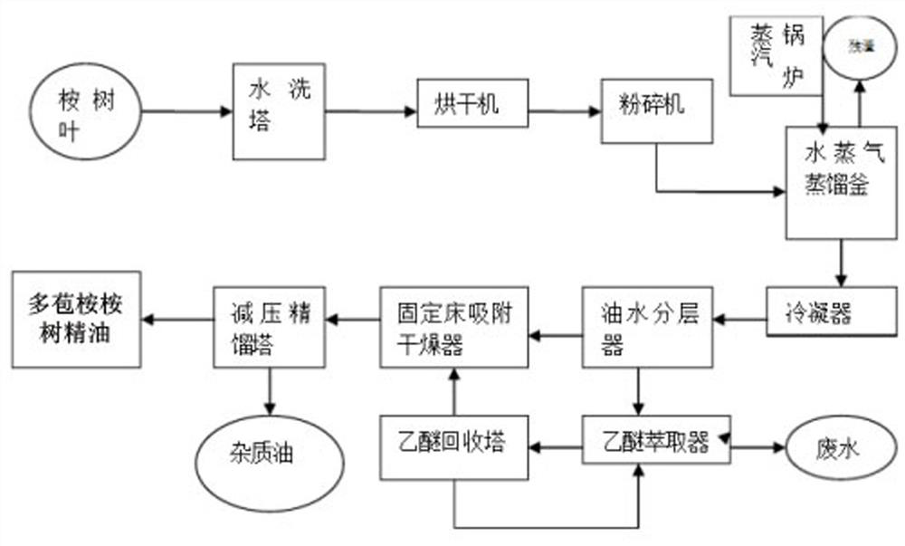 Application of a kind of eucalyptus eucalyptus essential oil and its compound bacterial agent in the preparation of insect repellent for seawater fish