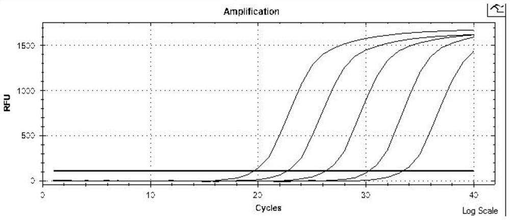 Multi-site methylation kit for detecting colorectal cancer-related genes and its application