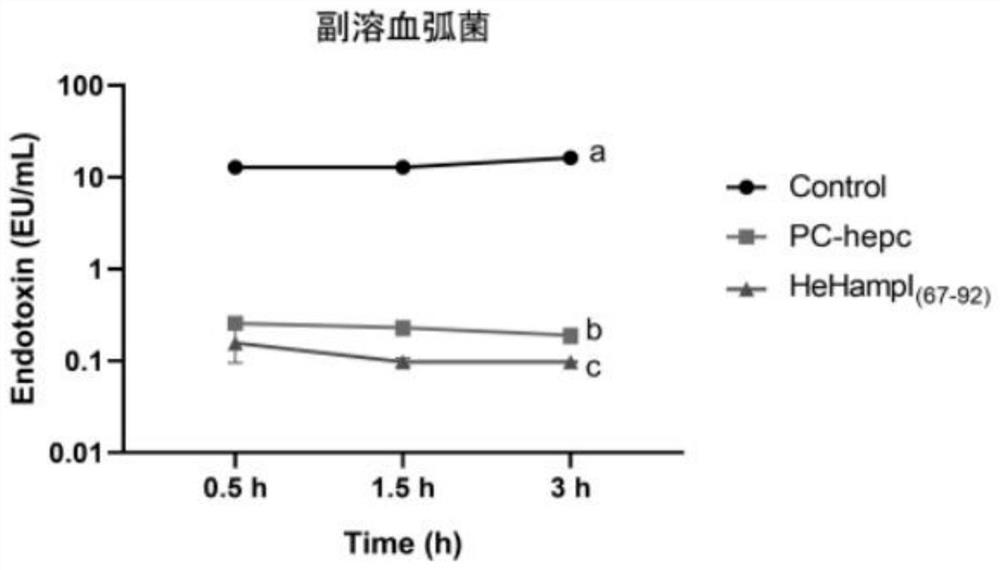 Antibacterial peptide HeHampI (67-92) and application thereof