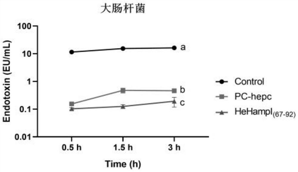 Antibacterial peptide HeHampI (67-92) and application thereof