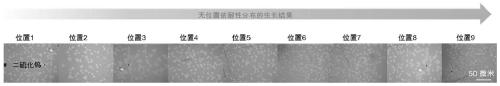 Two-dimensional material as well as preparation method, preparation device and application thereof