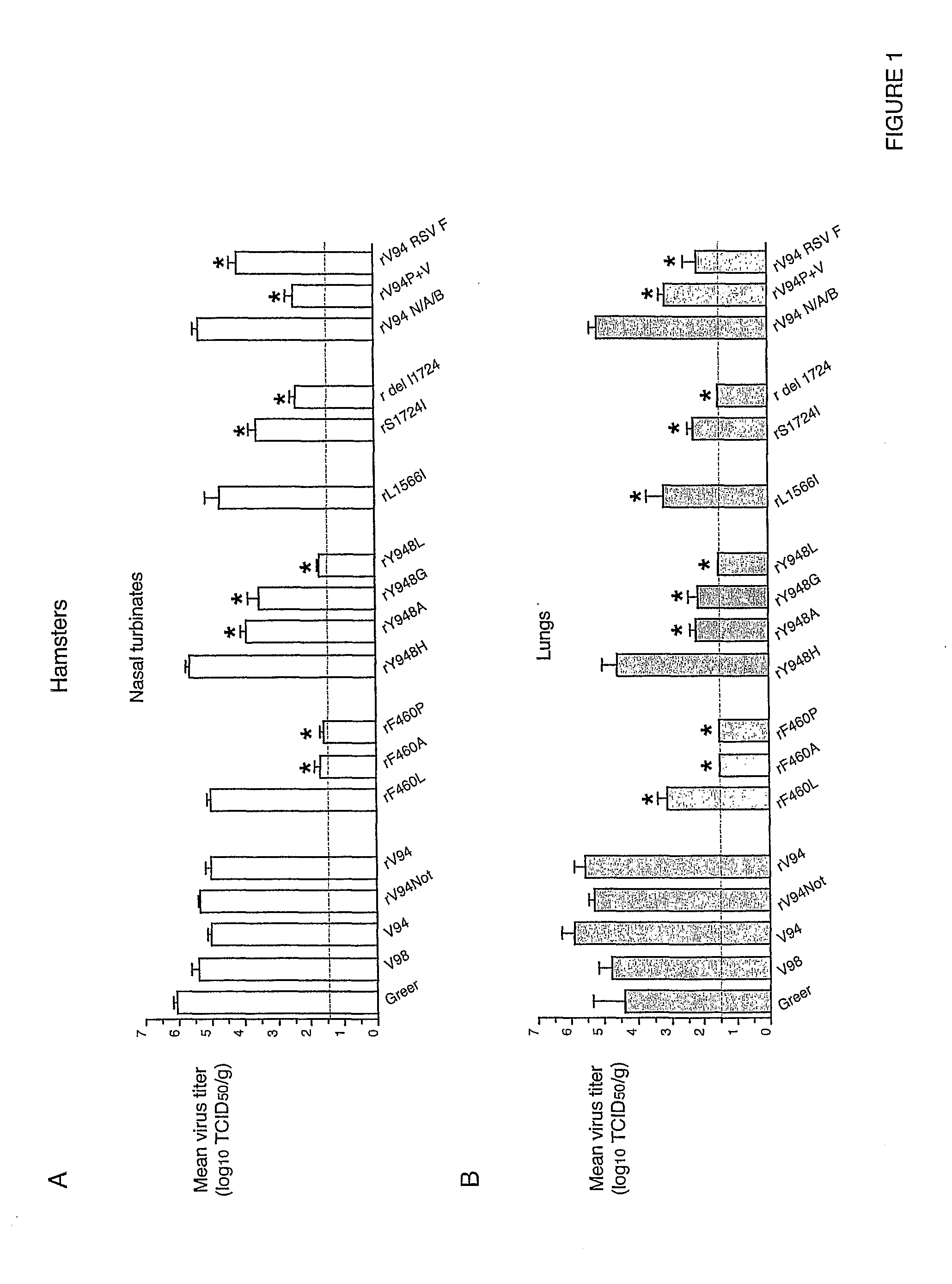 Attenuated human parainfluenza virus, methods and uses thereof