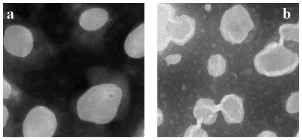 Albumin-coated cabazitaxel cationic nano-lipid carrier and preparation method thereof