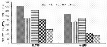 Naphthylacetic acid-sodium nitrophenolate compounded water aqua, preparation method and application of water aqua as yield-increasing drought-resisting plant growth regulator