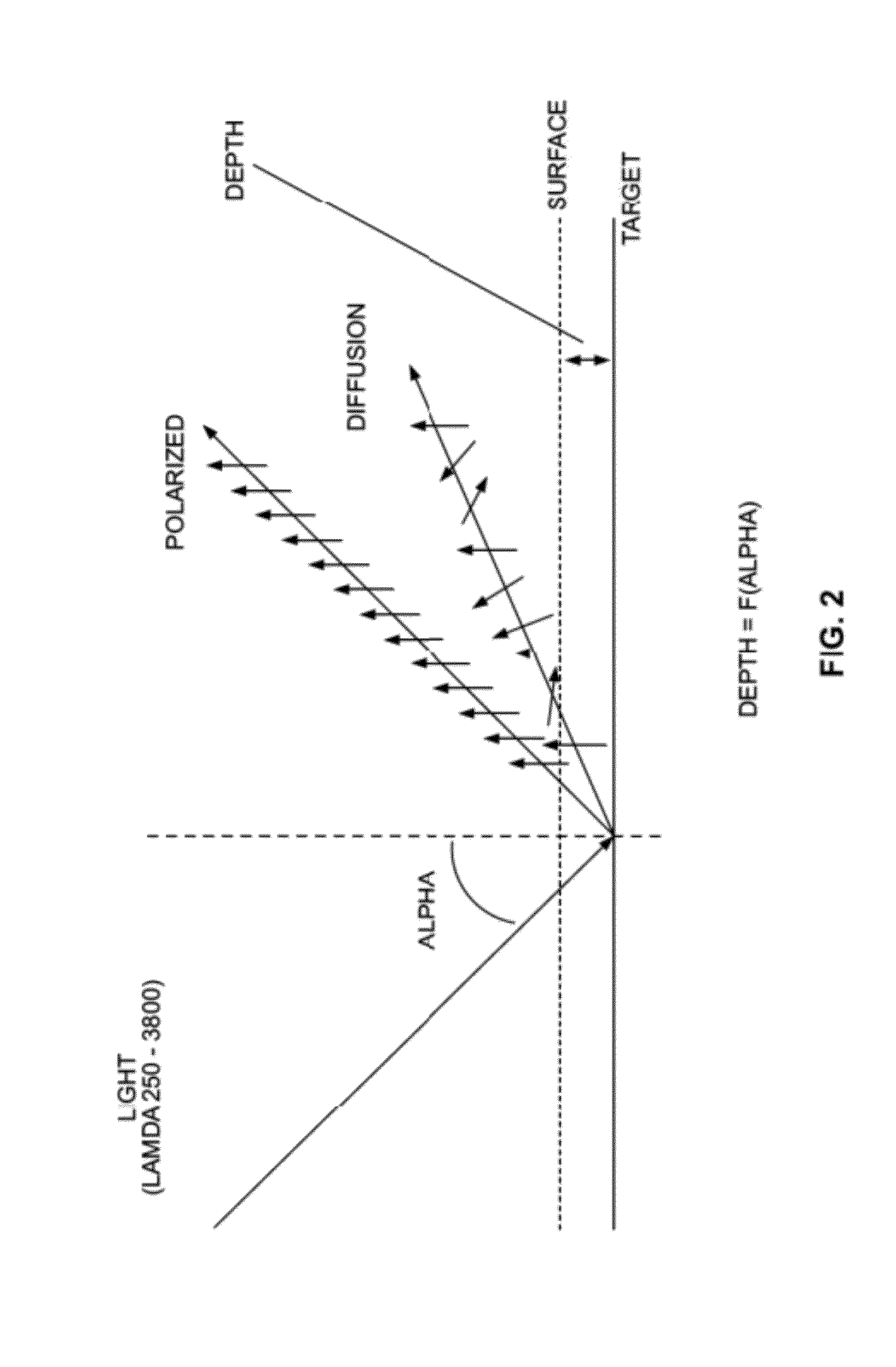 Characterization of food materials by optomagnetic fingerprinting