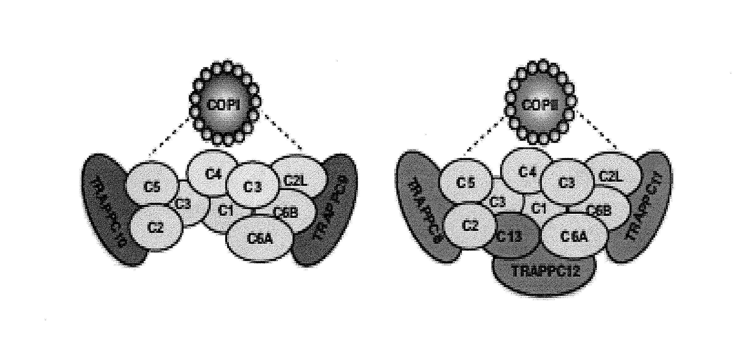 Methods for genome-wide screening and construction of genetic interaction maps