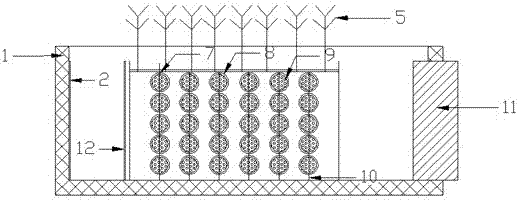 Compound deep purification ecological floating bed with external carbon source and purification treatment method thereof