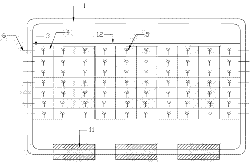 Compound deep purification ecological floating bed with external carbon source and purification treatment method thereof