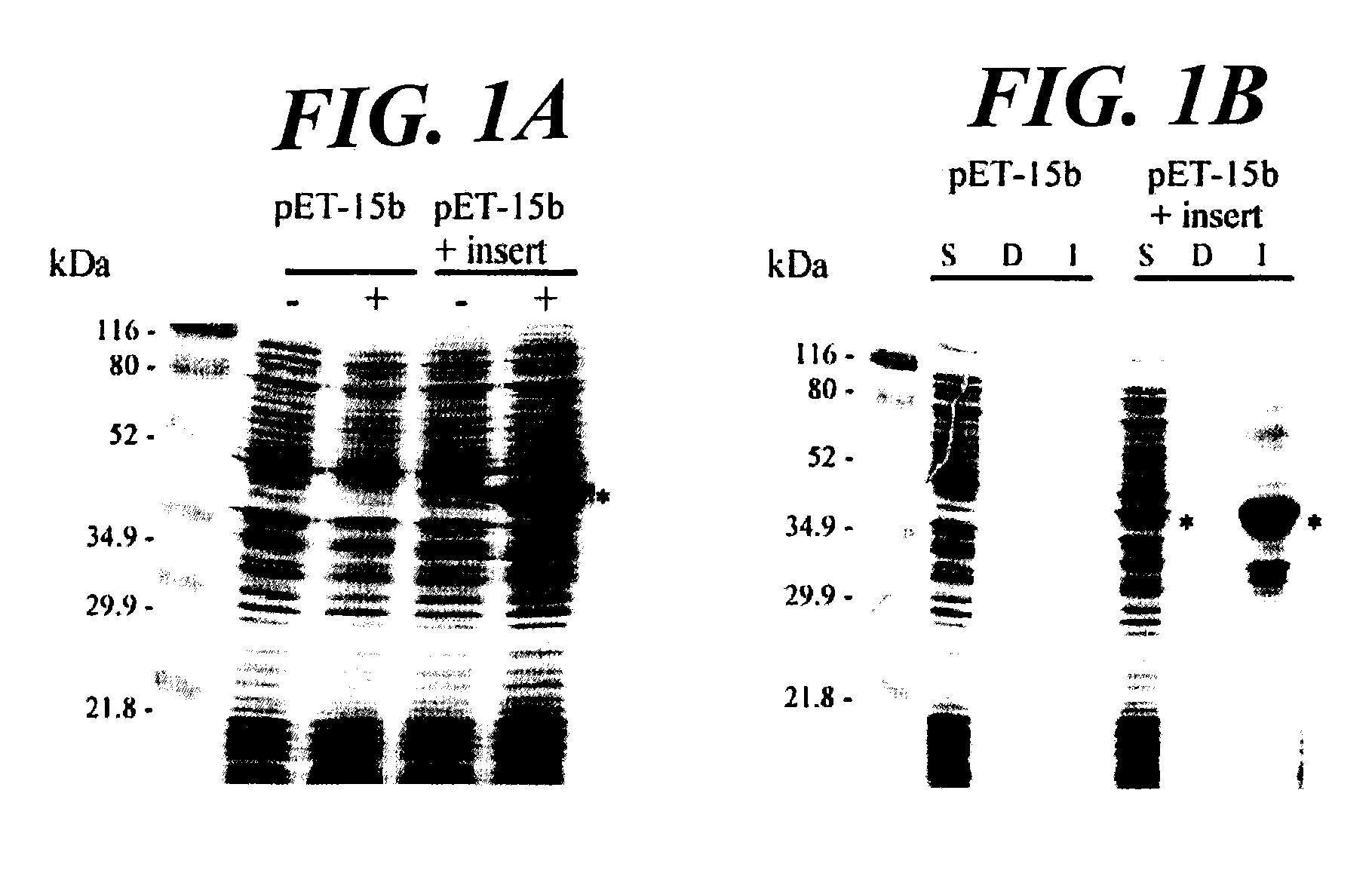 Plastidial targeting peptide