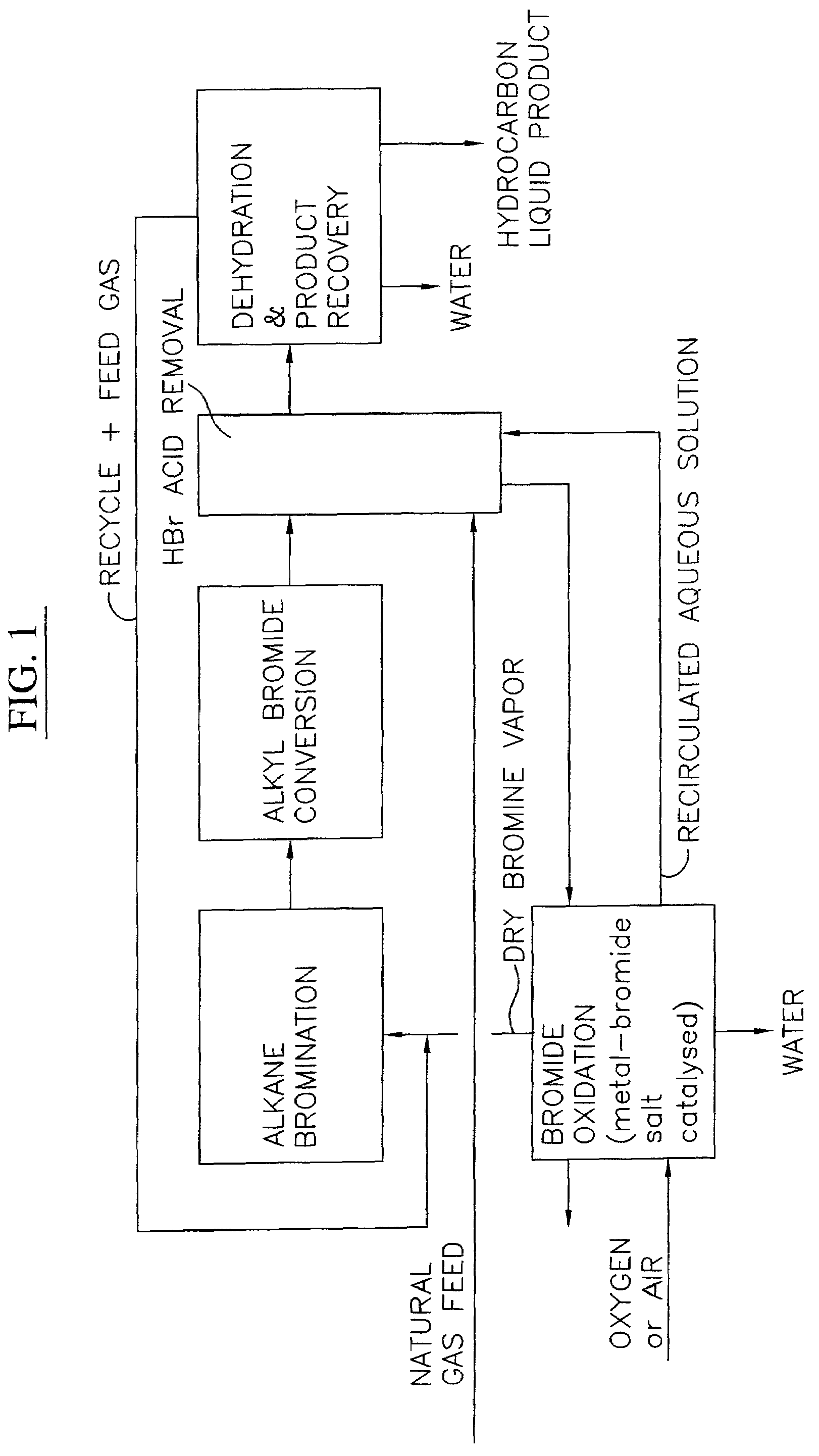 Processes for converting gaseous alkanes to liquid hydrocarbons