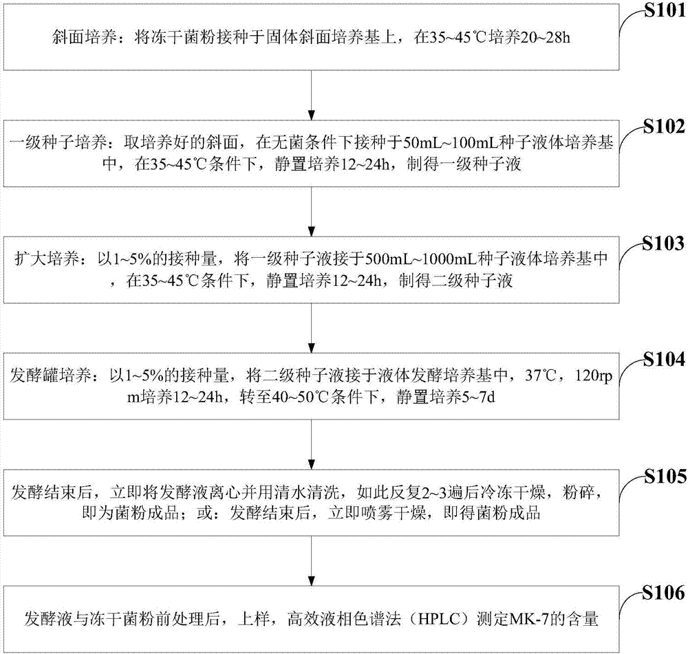 Bacillus natto with MK-7 production capacity and application of bacillus natto