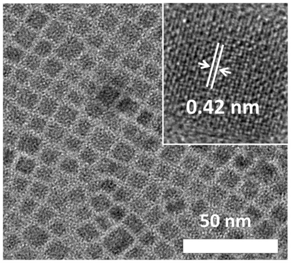 Perovskite quantum dot material and preparation method and application thereof