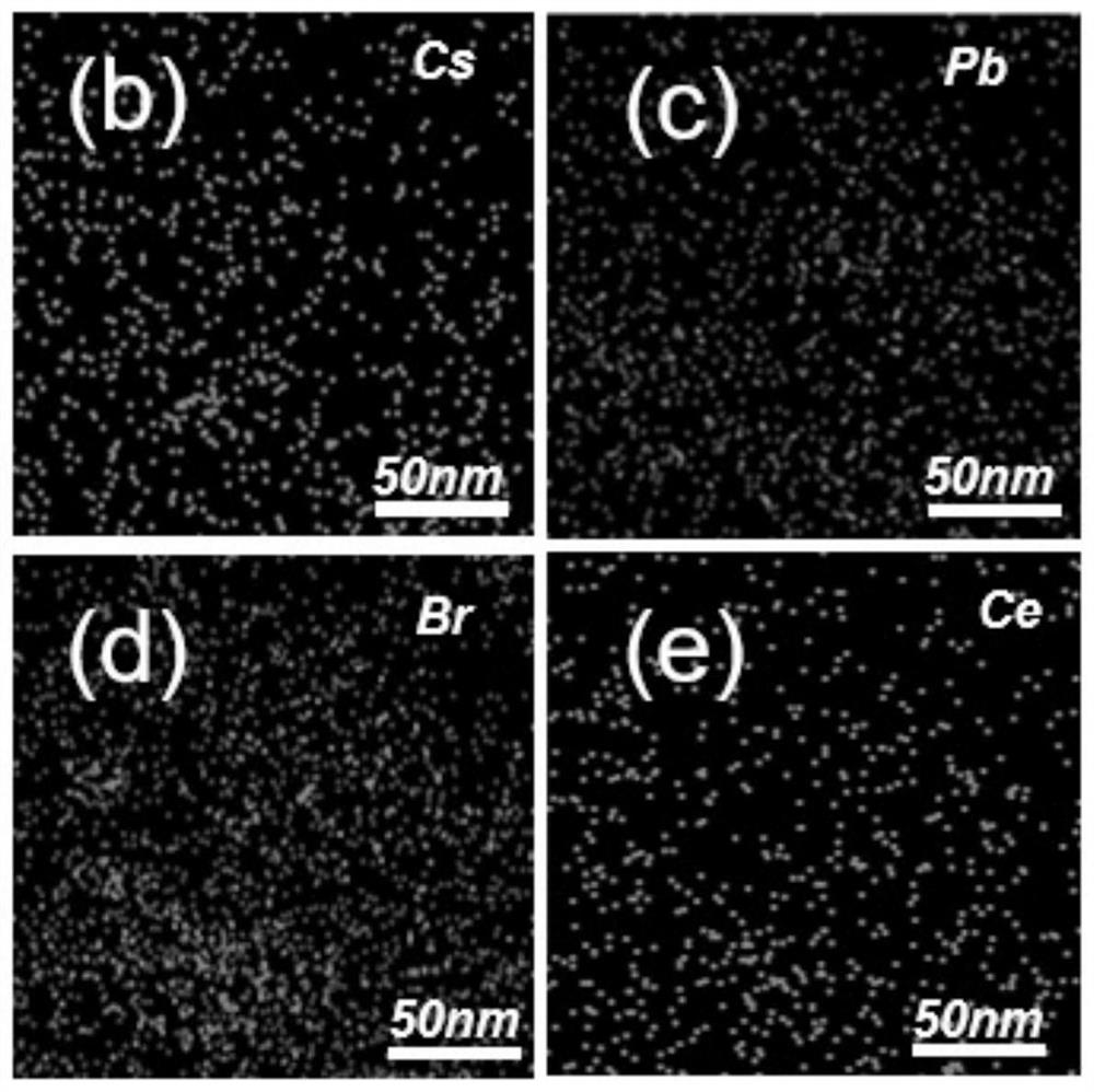 Perovskite quantum dot material and preparation method and application thereof