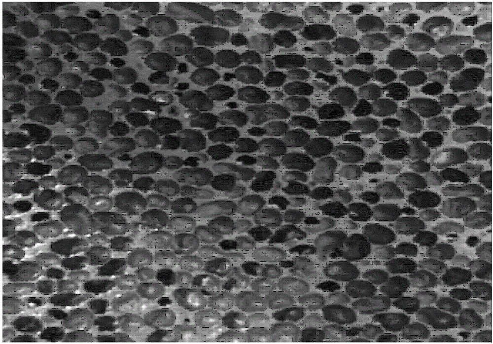 Positive electrode plate and lithium ion battery