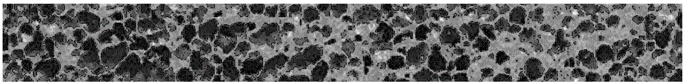 Positive electrode plate and lithium ion battery