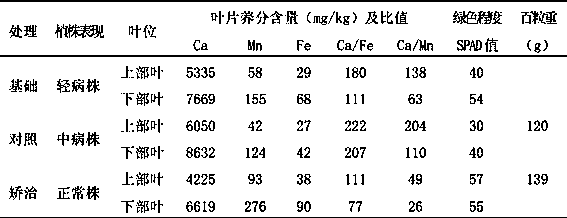 Diagnosis and treatment of leaf yellowing in blueberry cultivar Brilliant