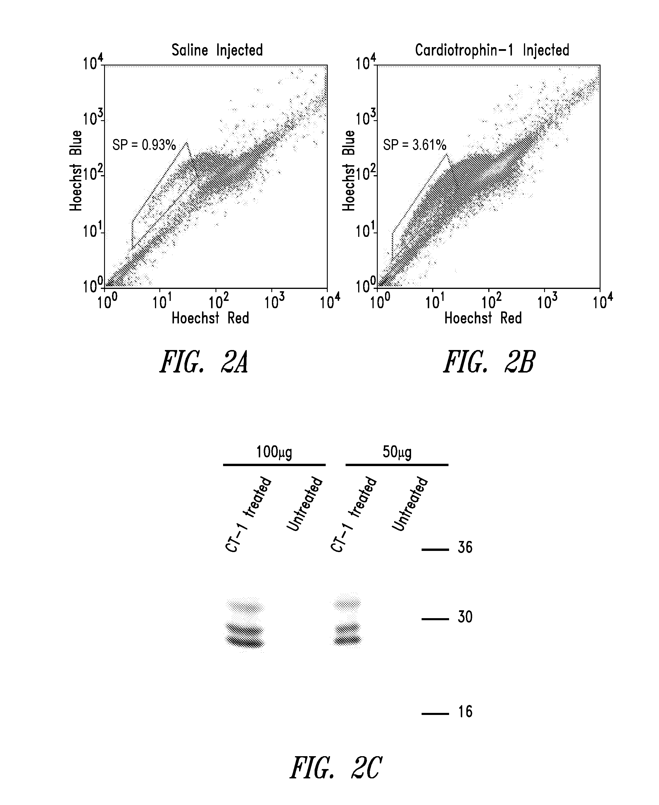 Use of cardiotrophin to modulate stem cell proliferation