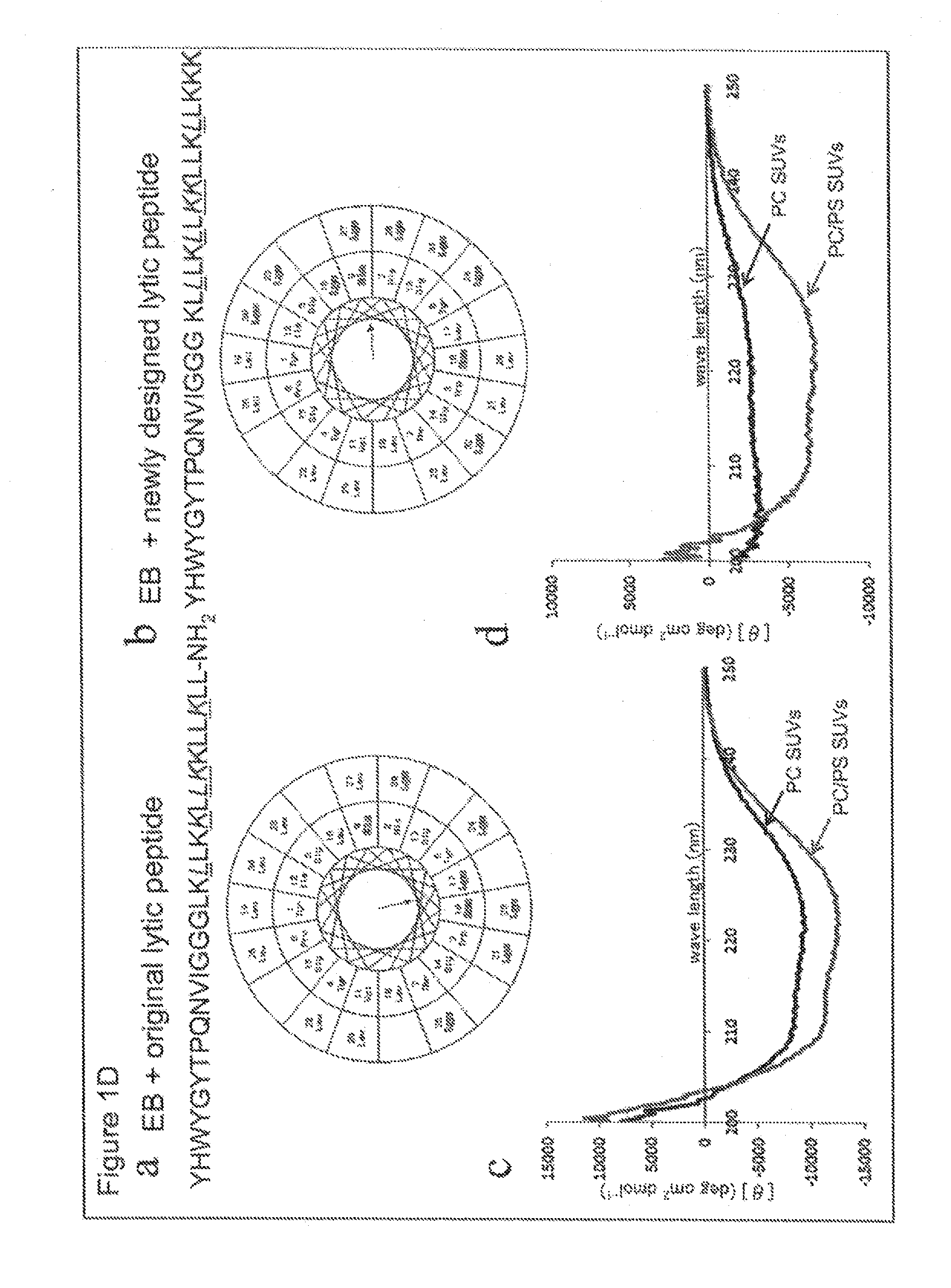 Selective anticancer chimeric peptide