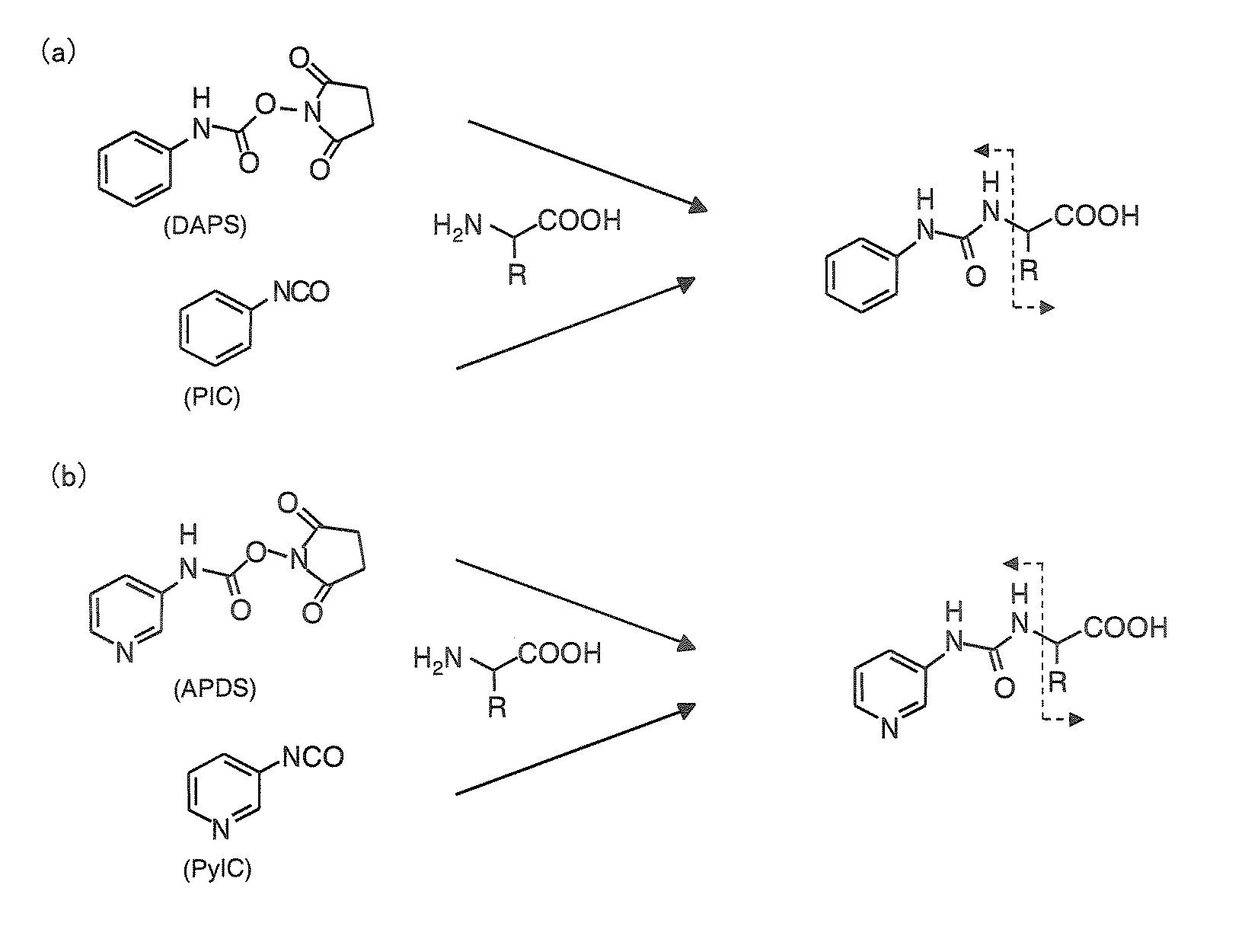 Method and apparatus for analyzing compounds with amino group