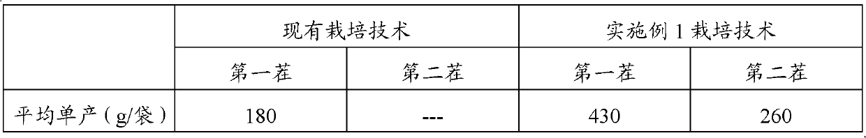 Pleurotus ferulae cultivation technology