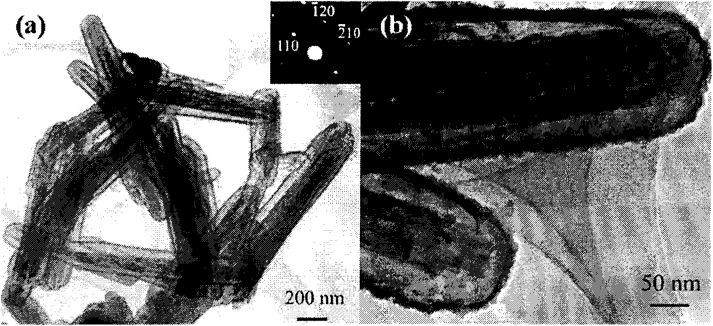 Ferriferous oxide/tin oxide core-shell nanometer rod absorbing high-frequency electromagnetic wave and preparing method thereof