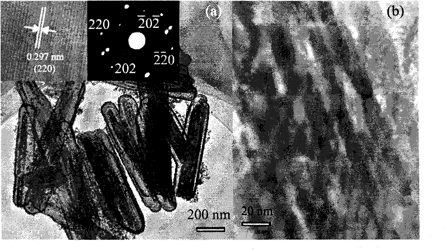 Ferriferous oxide/tin oxide core-shell nanometer rod absorbing high-frequency electromagnetic wave and preparing method thereof