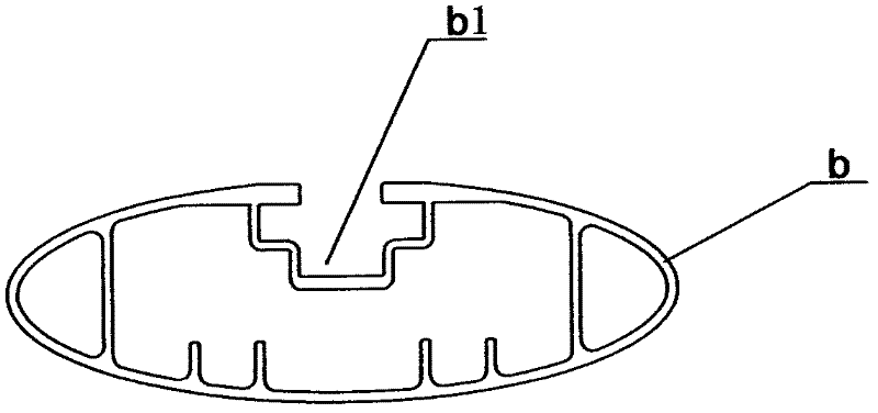 Roof luggage rack for automobile