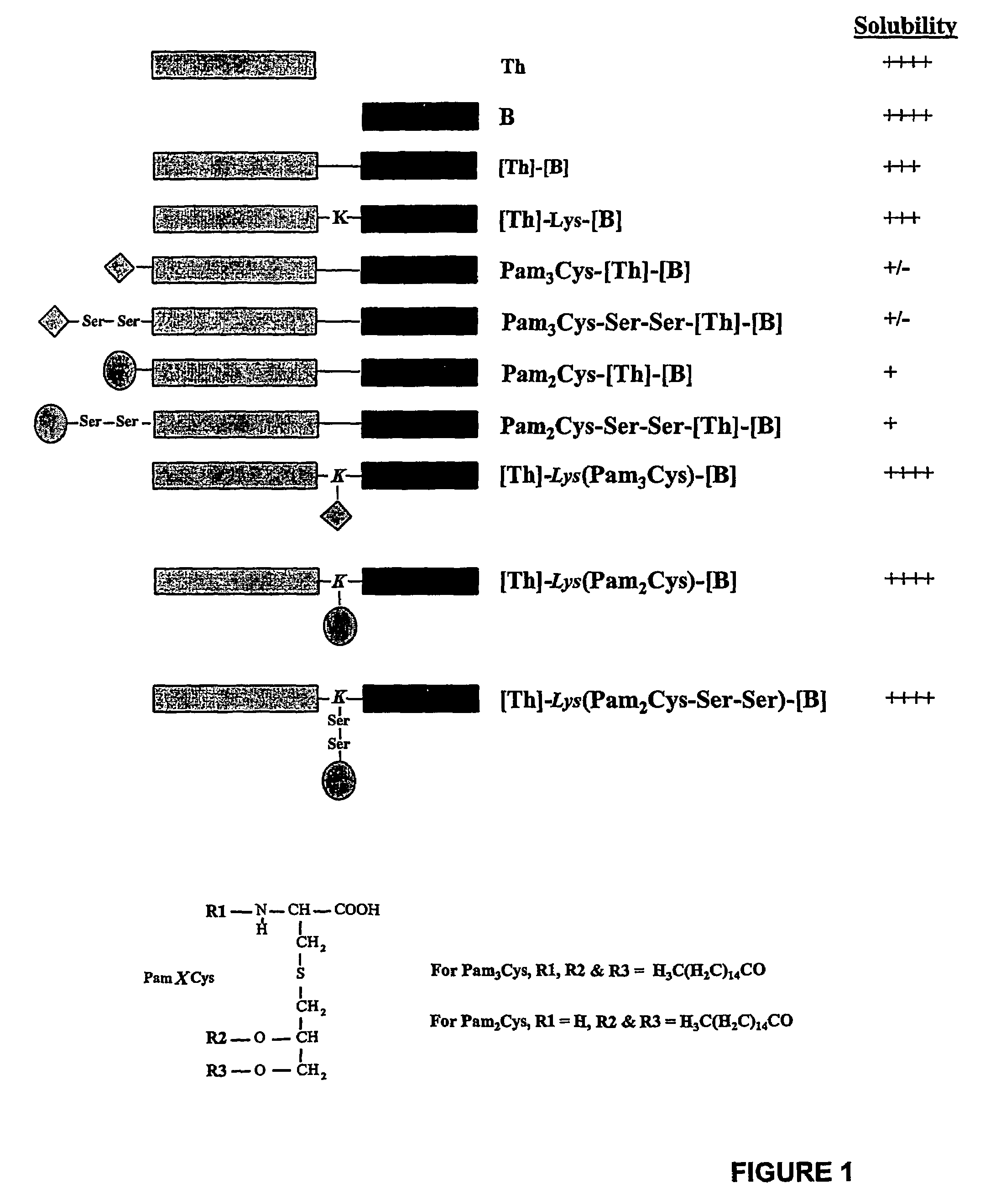 Immunogenic lipopeptides comprising T-helper and B-cell epitopes