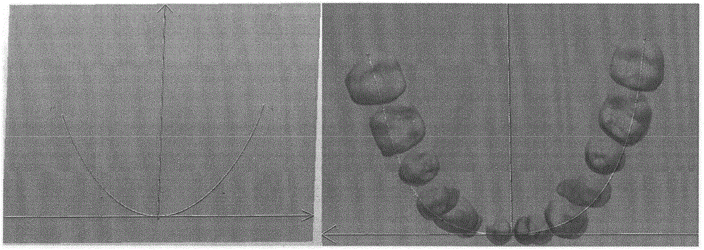 Digital tooth arrangement method based on tooth root information