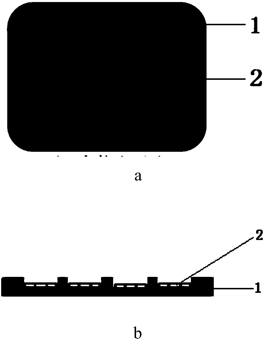 A hydrogel dressing for stem cell therapy