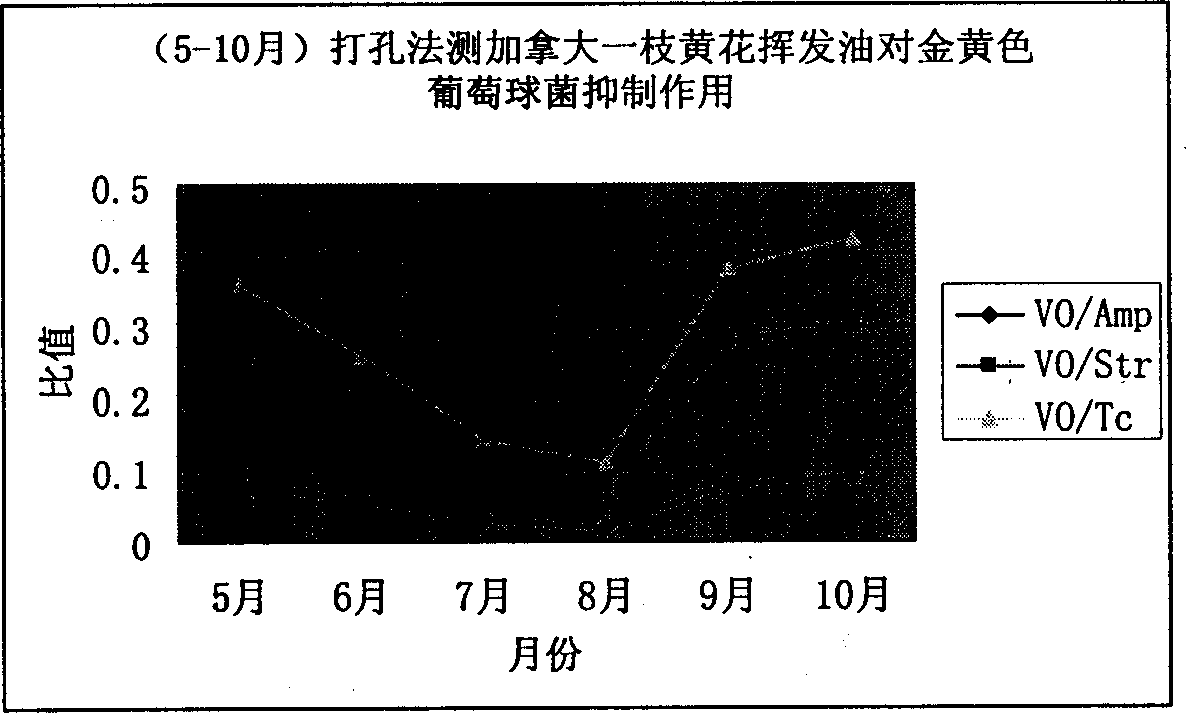 Plant volatile oil having broad spectrum antibiotic activity, its prepn. method and usage