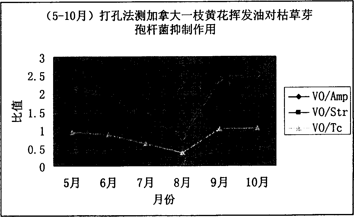 Plant volatile oil having broad spectrum antibiotic activity, its prepn. method and usage