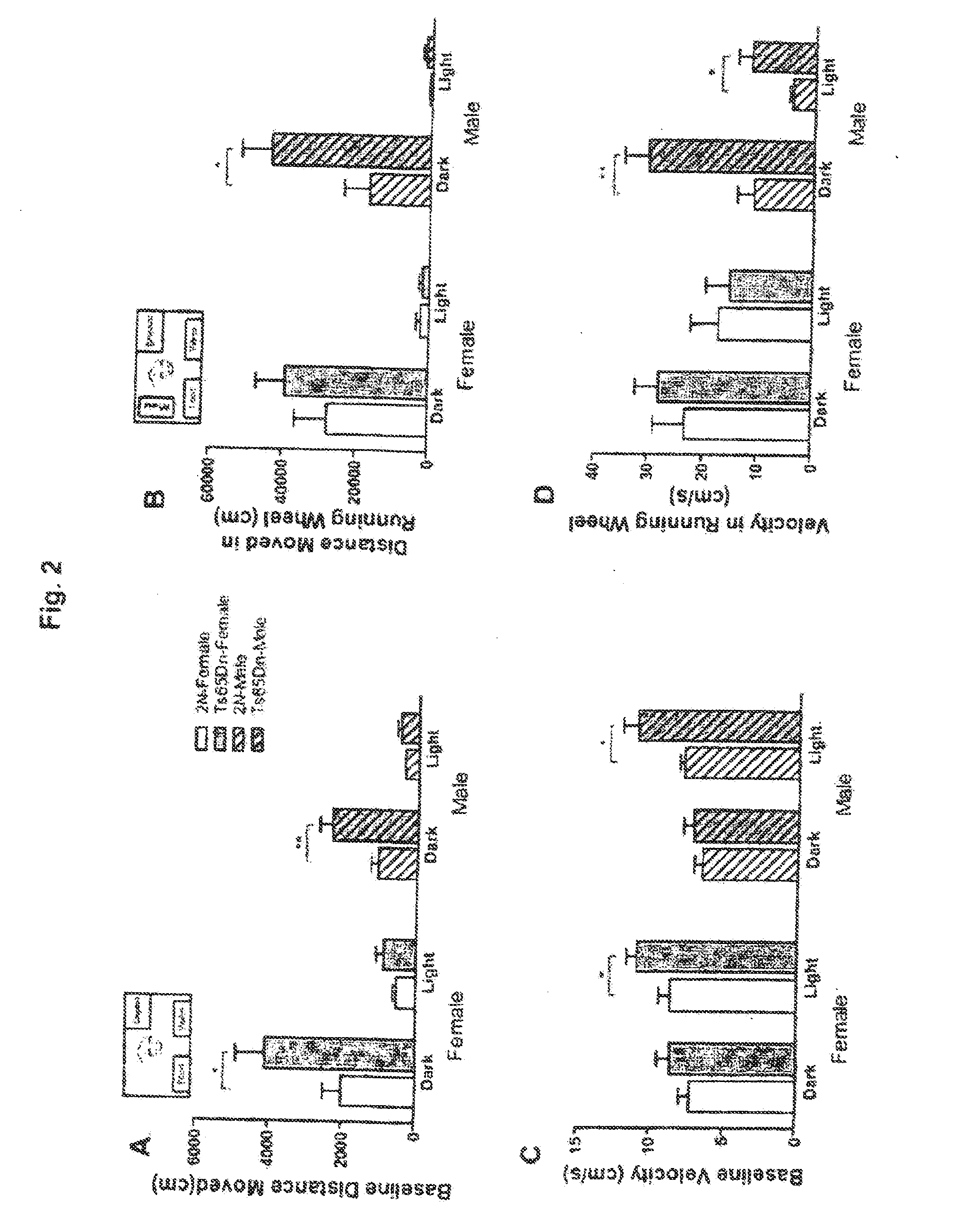 Method for enhancing learning and memory impaired by neurodegenerative disorders and compounds and compositions for effecting the same