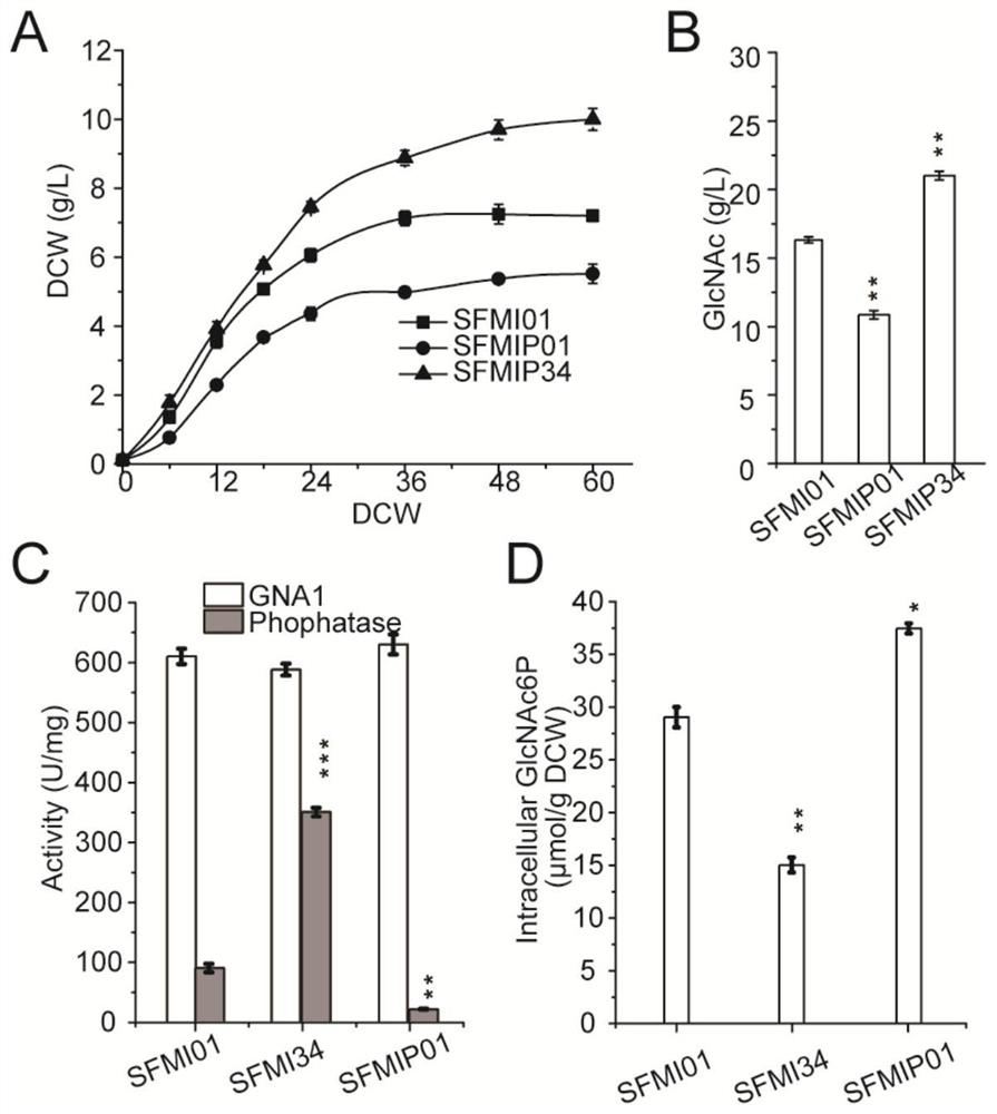 Method for improving yield of bacillus subtilis acetylglucosamine