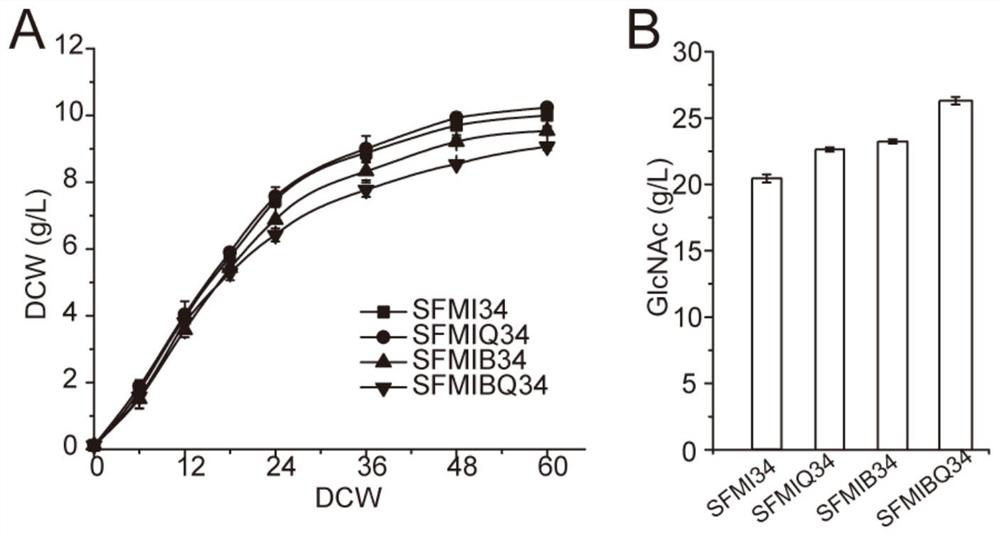 Method for improving yield of bacillus subtilis acetylglucosamine