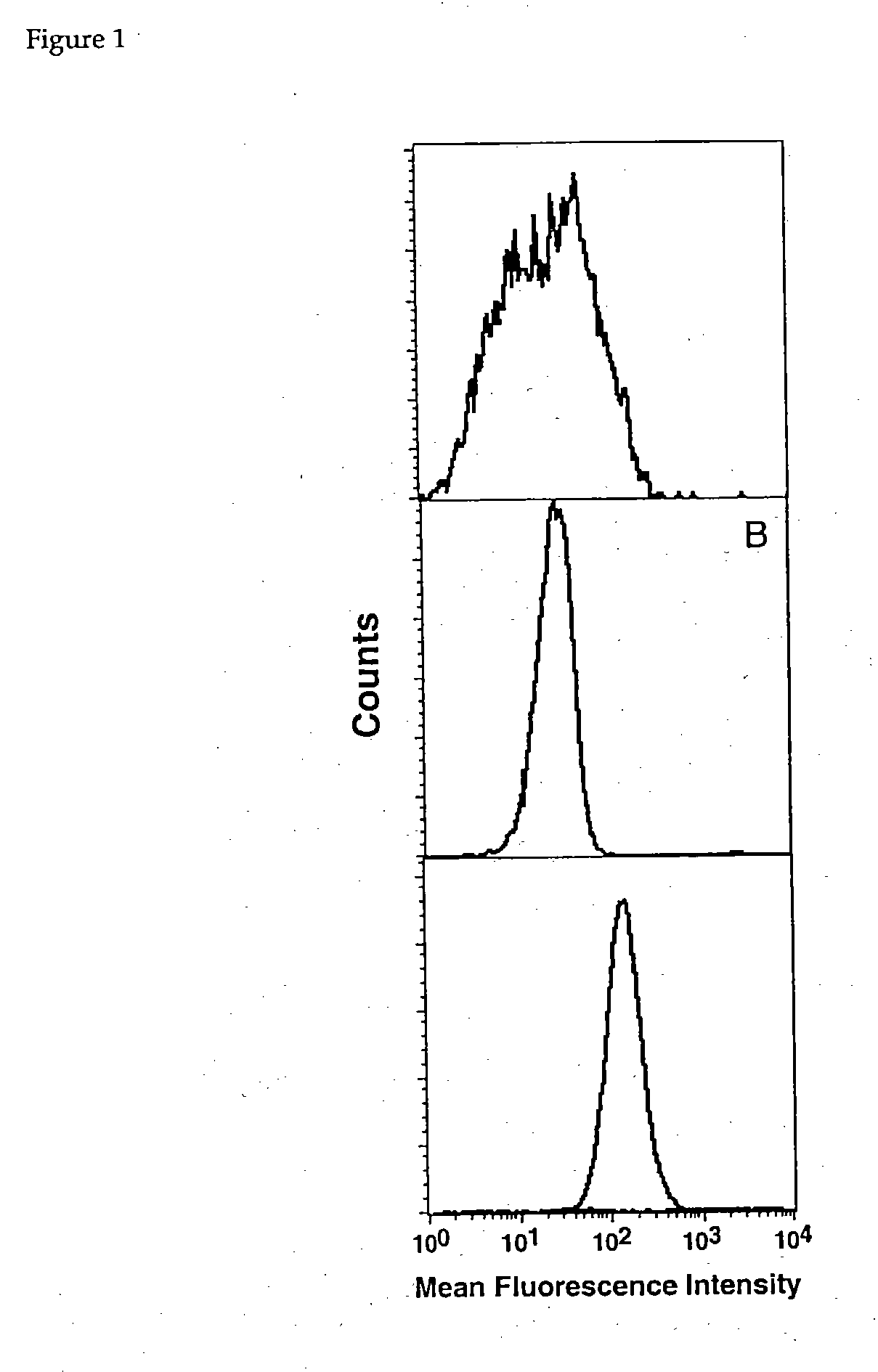 Multicomponent conjugates which bind to target molecules and stimulate T cell lysis