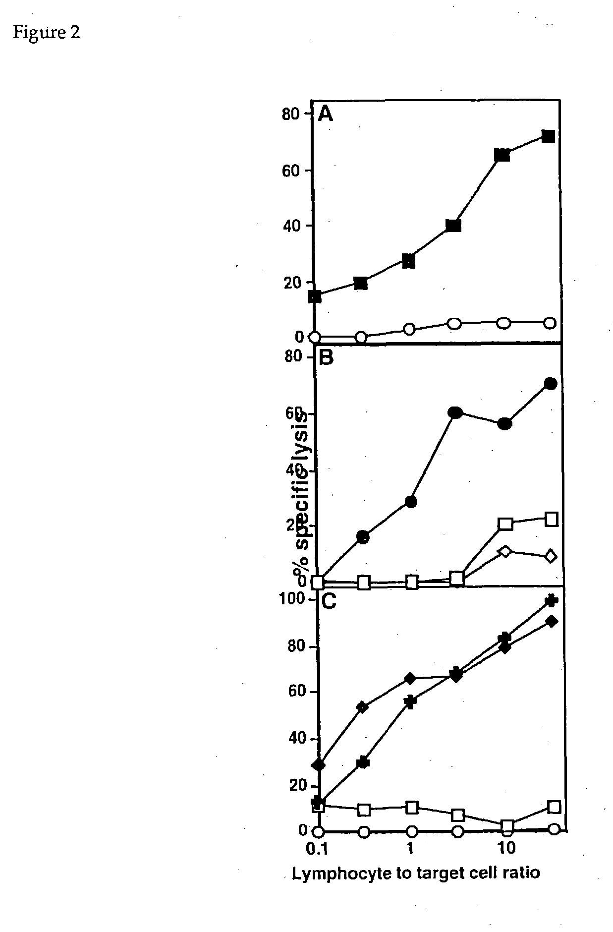 Multicomponent conjugates which bind to target molecules and stimulate T cell lysis