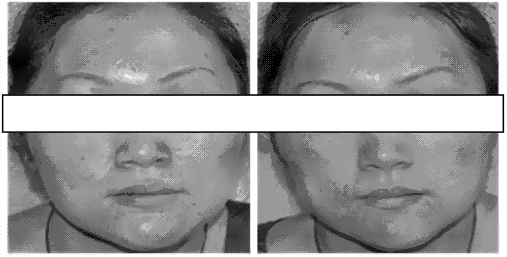 Application of salvianolic acid effective part in preparing preparation for improving skin quality