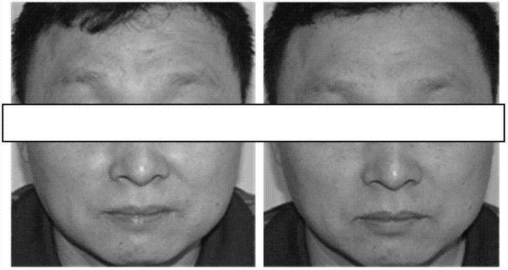 Application of salvianolic acid effective part in preparing preparation for improving skin quality