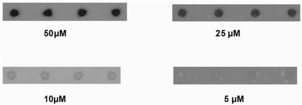 An enzymatic visualized oligonucleotide chip for simultaneous detection of four porcine diarrhea viruses and its application