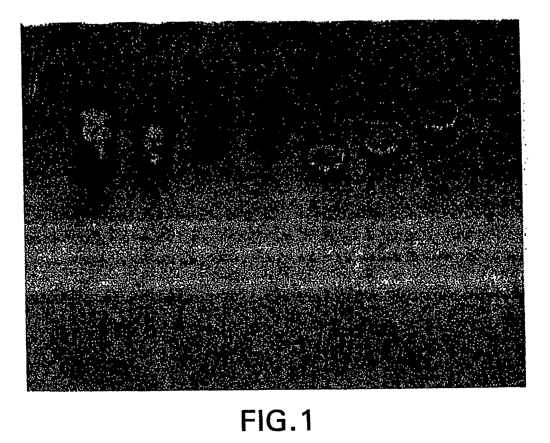 Hyperbranched (pamam) polymers via a one pot process