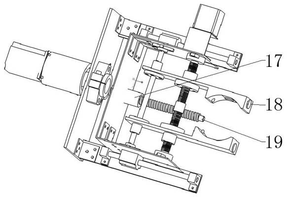 Kiwi picking end effector