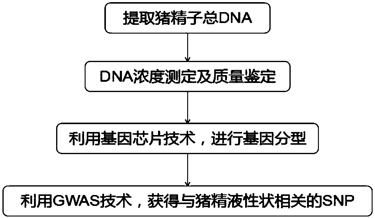 Molecular marker relative to sperm viability and total sperm number of boar and application