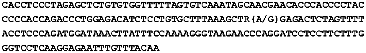 Molecular marker relative to sperm viability and total sperm number of boar and application