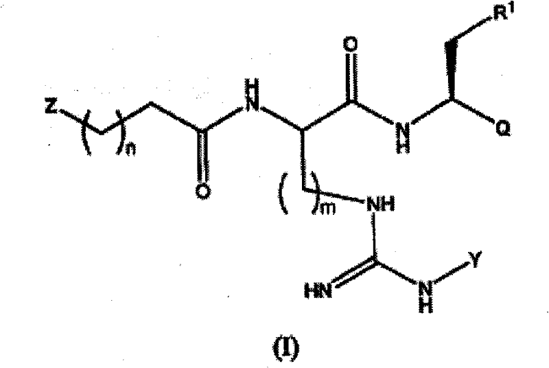 Proteasome inhibitors and methods of using the same