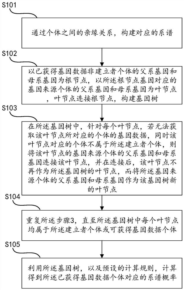 Genetic relationship identification method, system and equipment