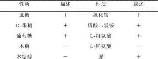 Gibberella and method for fermentation production of gibberellin GA4+7