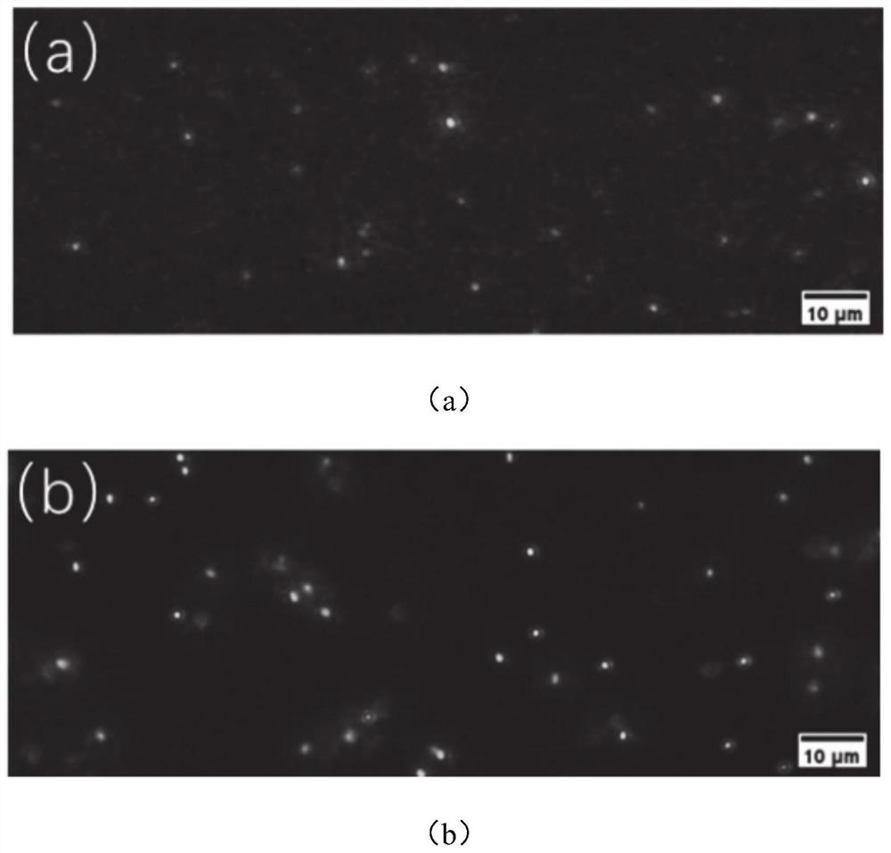 Exosome particle size analysis device and method based on deep learning